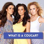 what is a cougar